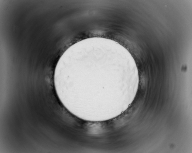 X0000103450181200810241154