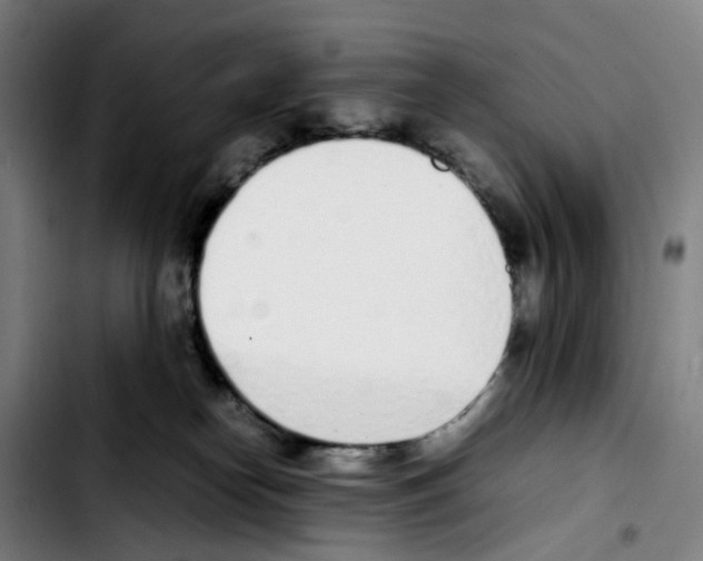 X0000103450182200810241154