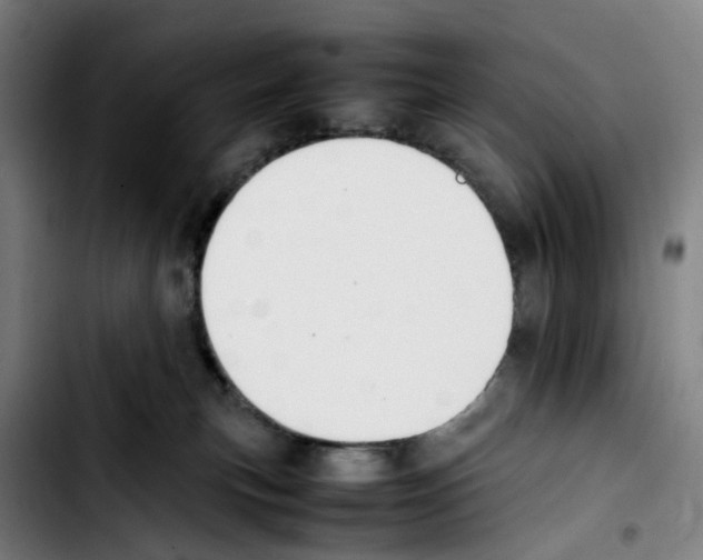 X0000103450183200810241154