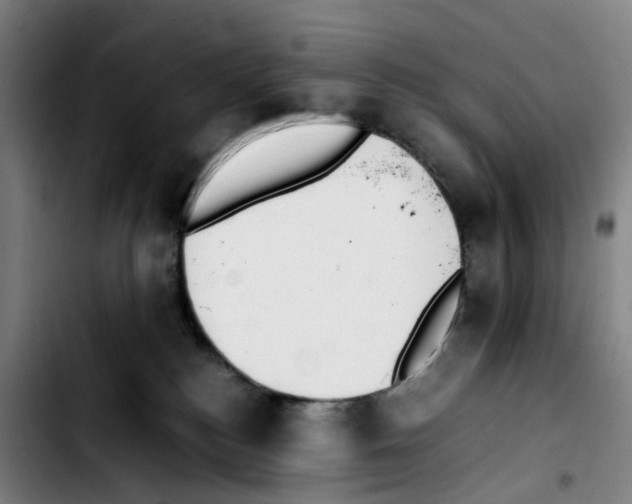 X0000103450184200810241154