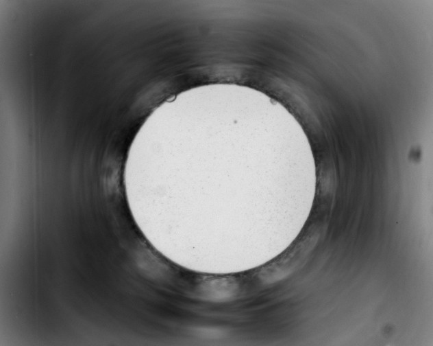 X0000103450185200810241154