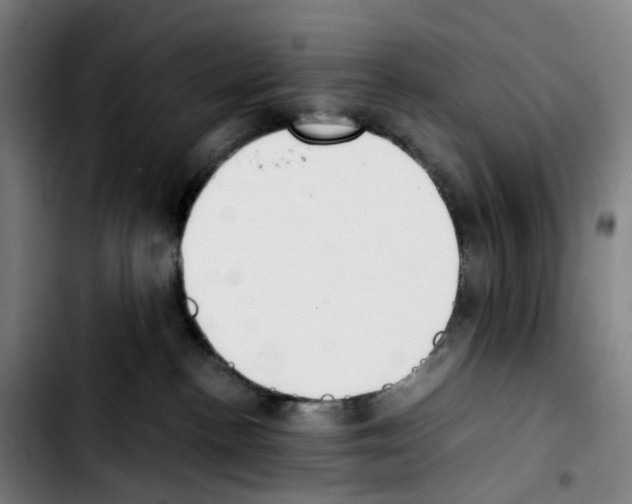 X0000103450188200810241154