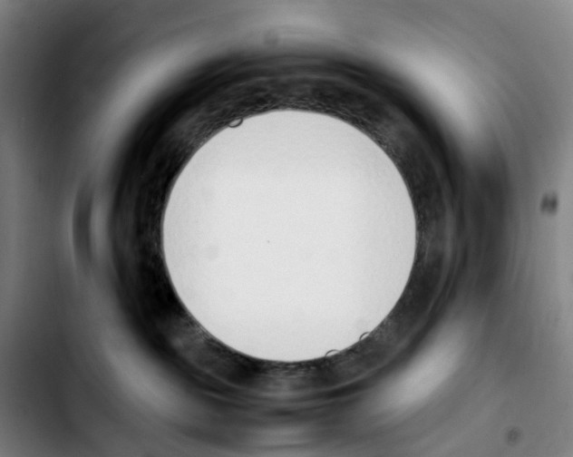 X0000103450189200810241154