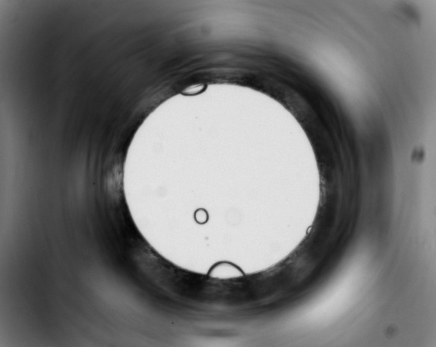 X0000103450190200810241154