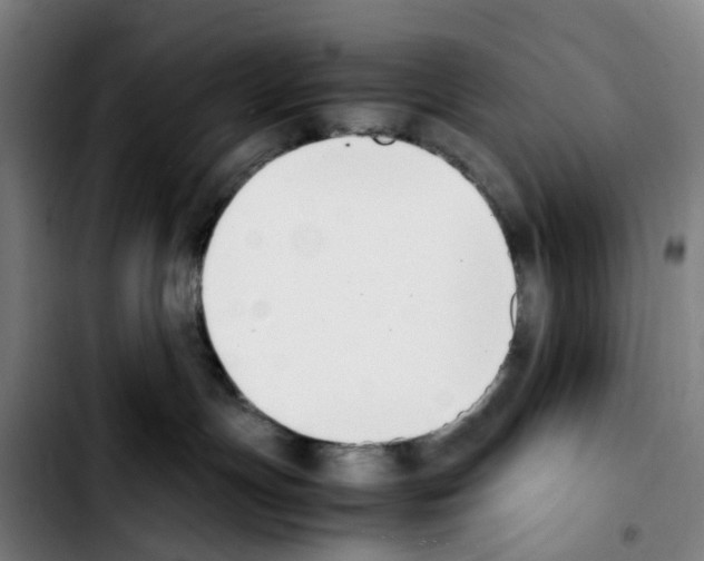 X0000103450191200810241154