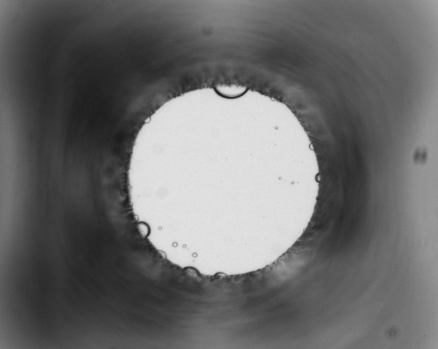 X0000103450192200810241154