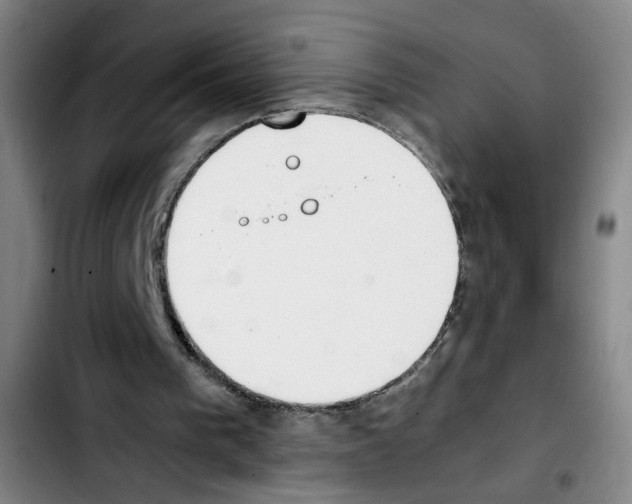 X0000103450193200810241153