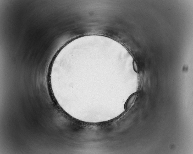 X0000103450195200810241153