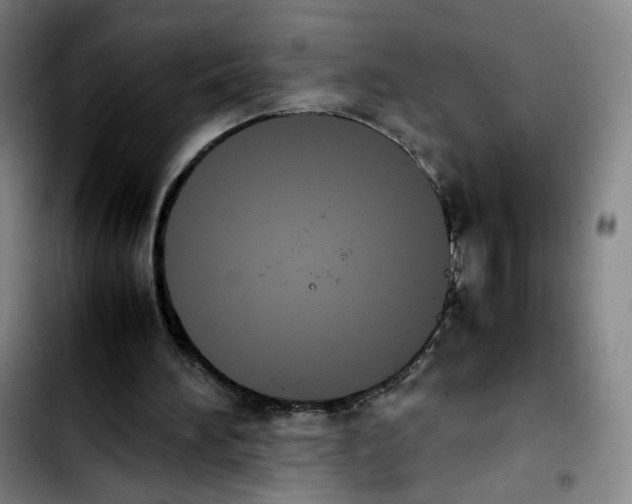 X0000103450196200810241153