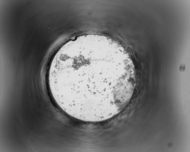 X0000103450197200810241153