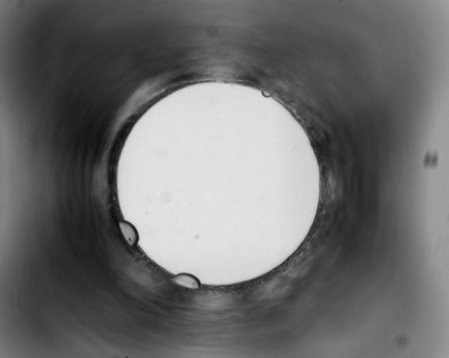 X0000103450198200810241153