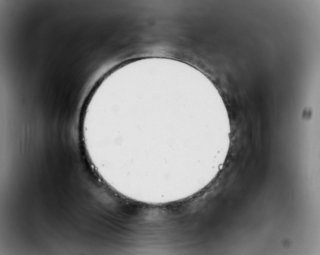 X0000103450200200810241153