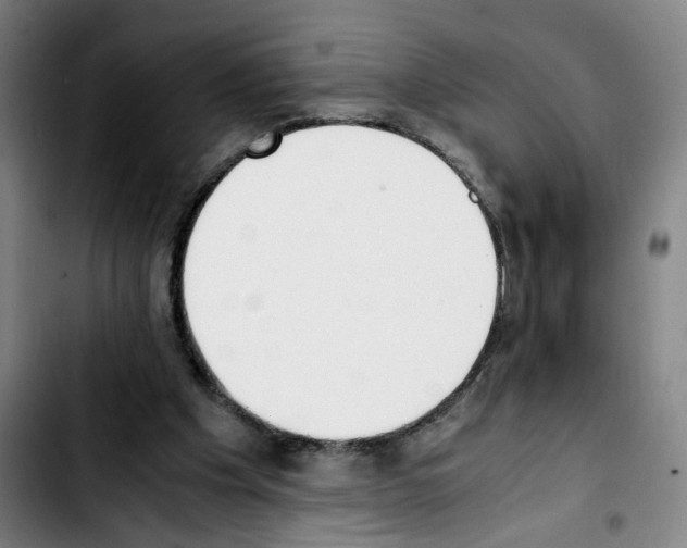 X0000103450201200810241153