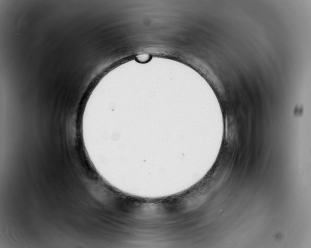 X0000103450204200810241153