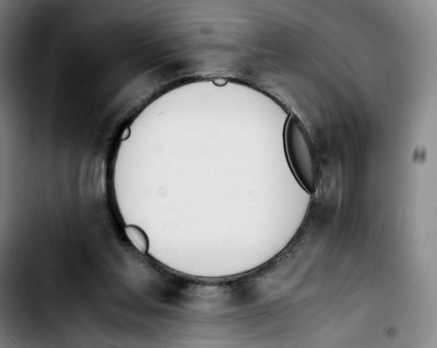 X0000103450205200810241153