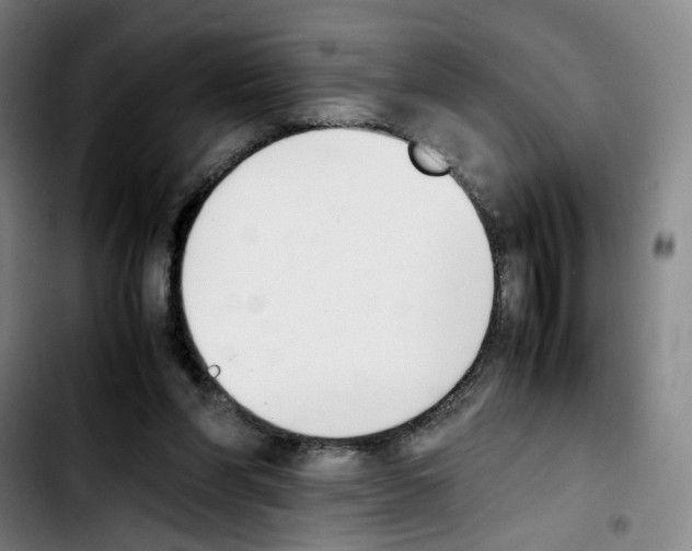 X0000103450206200810241153