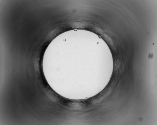 X0000103450209200810241153