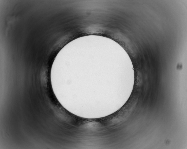 X0000103450210200810241153