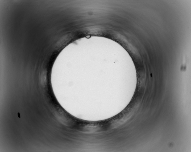 X0000103450213200810241153