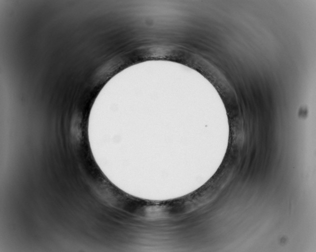 X0000103450216200810241152