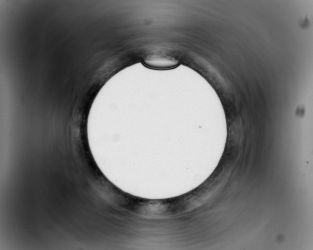 X0000103450217200810241152