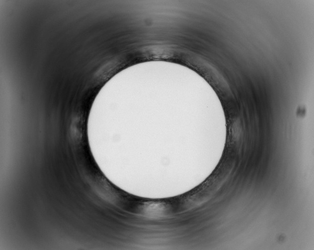 X0000103450218200810241152