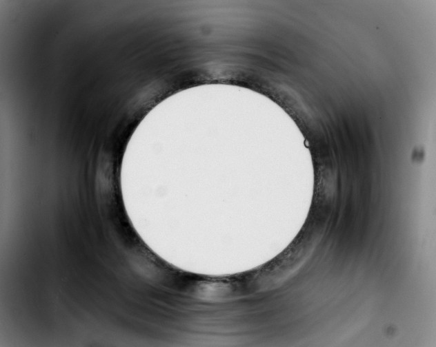 X0000103450220200810241152