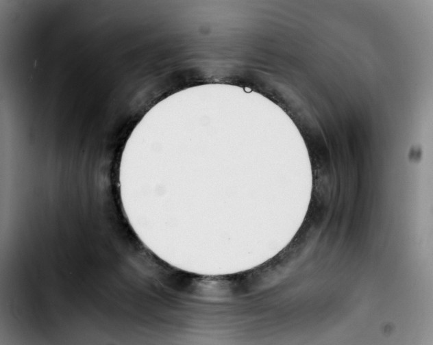 X0000103450221200810241152