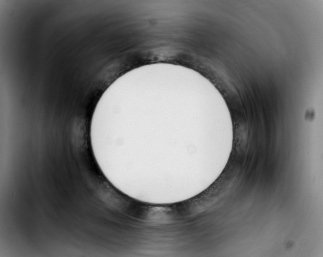 X0000103450222200810241152