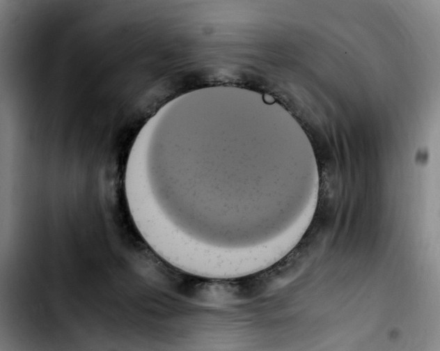 X0000103450223200810241152