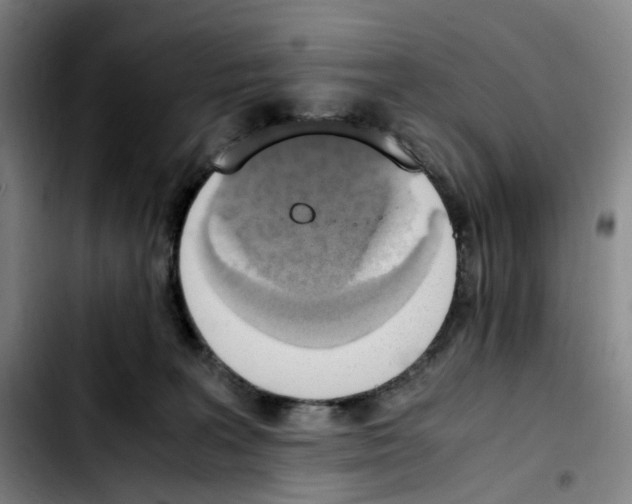 X0000103450227200810241152