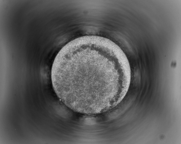 X0000103450228200810241152