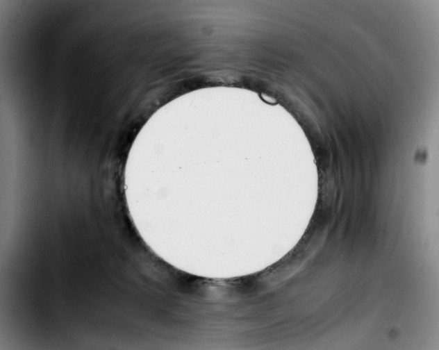 X0000103450229200810241152