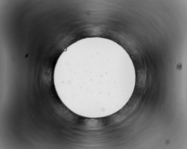 X0000103450230200810241152