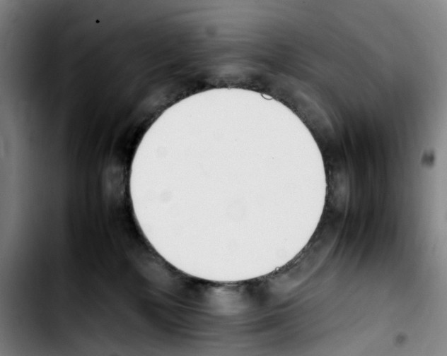 X0000103450232200810241152