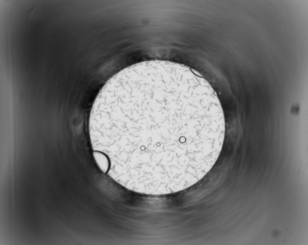 X0000103450233200810241152