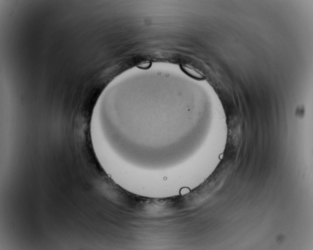 X0000103450235200810241152