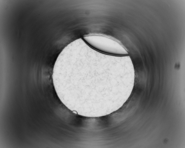 X0000103450237200810241152