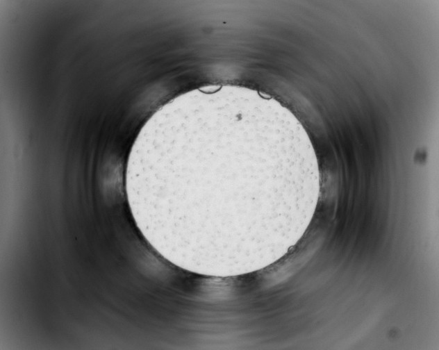 X0000103450238200810241152