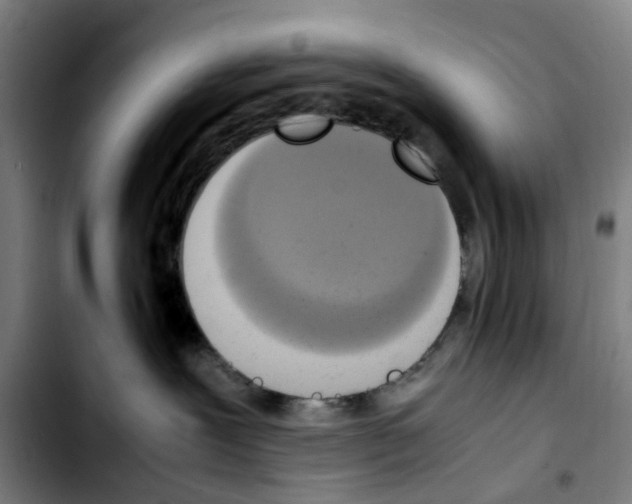 X0000103450239200810241152