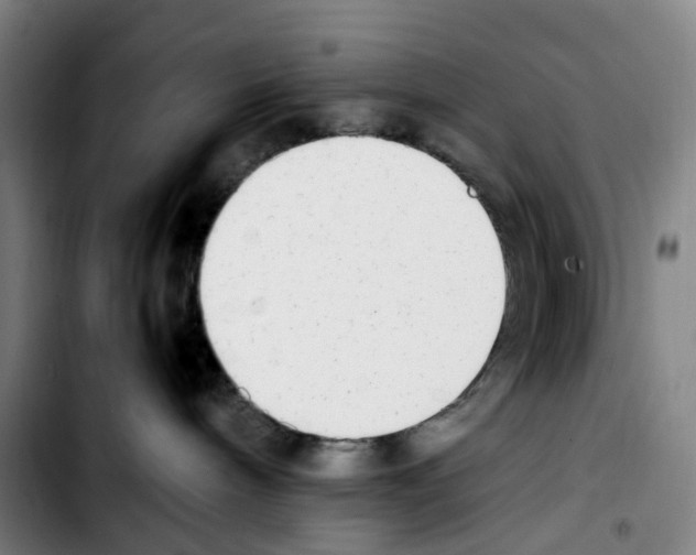 X0000103450240200810241152