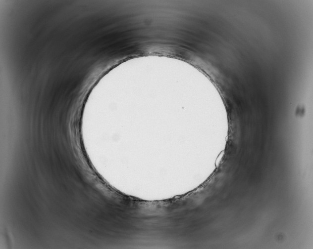 X0000103450241200810241151