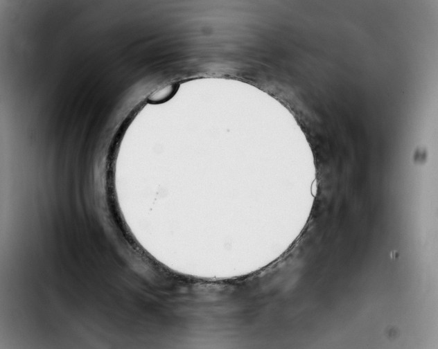 X0000103450242200810241152