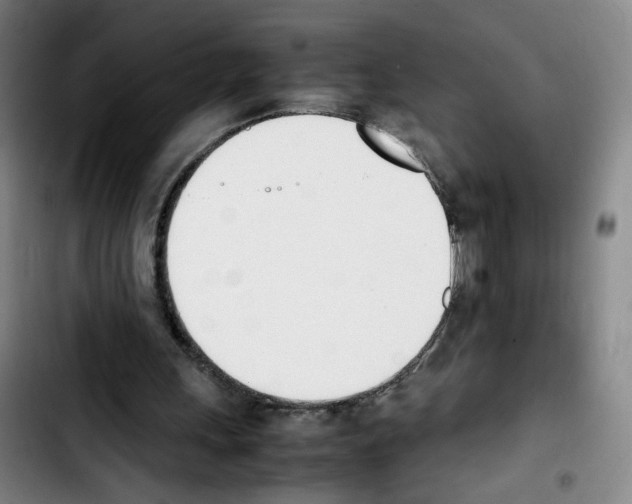 X0000103450243200810241152