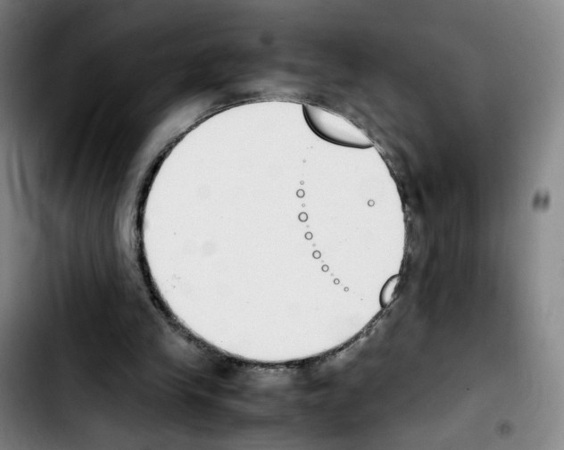 X0000103450245200810241152