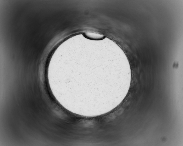 X0000103450247200810241152