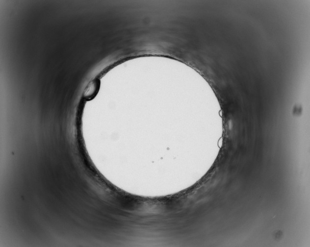 X0000103450248200810241152