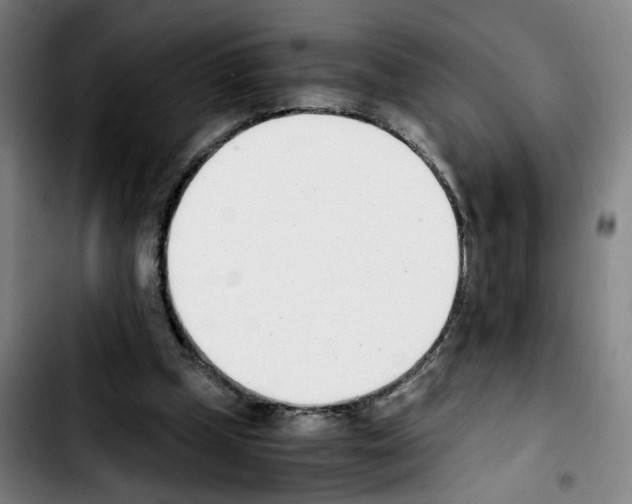 X0000103450249200810241152