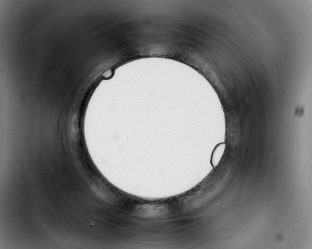 X0000103450251200810241152