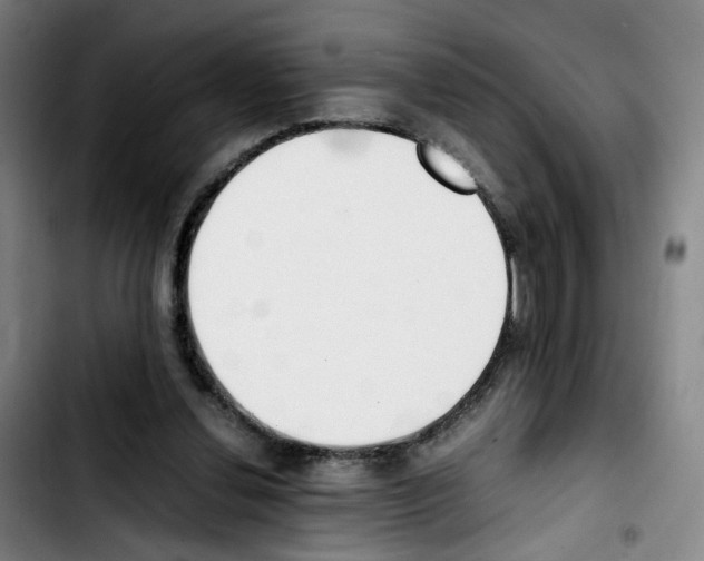 X0000103450252200810241152